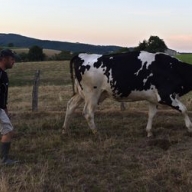 � �������� �� ����� ��������� ��������� ������� ����� �����