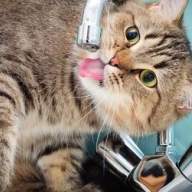 �������� �������� ��� ���� ��-�� ��������� ������