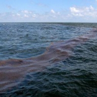 Нефть из турецкого судна разлилась в море возле Мариуполя Нефть из турецкого судна разлилась в море возле Мариуполя