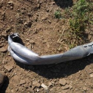 ������� �������� ������� ������ ������� 