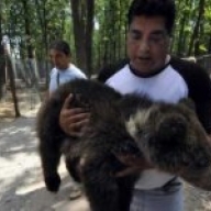 ��������� �������� ��������� ���������� ����� � ����-���������� ��� ���������