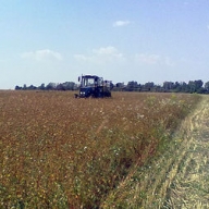 В Хмельницкой области трактор раздавил подростка В Хмельницкой области трактор раздавил подростка