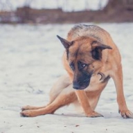 � ������� �������� ������� ������ ���� ������� � �������