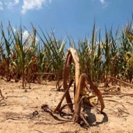 ��� ��������� ������� ������ ������ - ��������