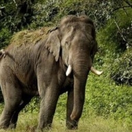 ������ ��������, ��� �� ��������� ���� ������� ��� �����