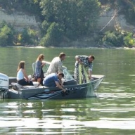 ��������� ������� ����������� ������ ��������� �������������