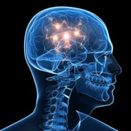 ����� �������� ������� �� ����������� ������� - ������ 