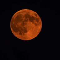 Суперлуние: соцсети пестрят снимками спутника Земли Суперлуние: соцсети пестрят снимками спутника Земли