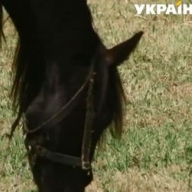 � ����������� ������� �������� ������ �������� ������� ����� 