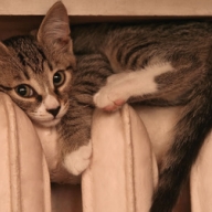 ��-�� ������ � ����� �������� ���������