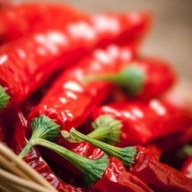 ����� ���� ������� ������� ������