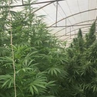 � ����������� ������� � ����������� �������� ���������� 