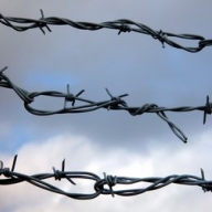 В Запорожской области сбежавшие из колонии заключенные напали на мужчину В Запорожской области сбежавшие из колонии заключенные напали на мужчину