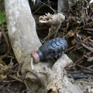 В Горловке пенсионеры подорвались на растяжке В Горловке пенсионеры подорвались на растяжке