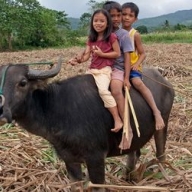 В Доминикане обнаружили детей, у которых к 12 годам меняется пол В Доминикане обнаружили детей, у которых к 12 годам меняется пол