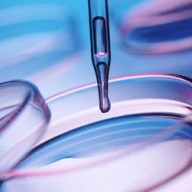 ������ ��������, ��� ������ ������