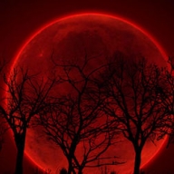 Этой ночью на небо взойдет Этой ночью на небо взойдет