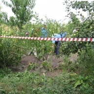 ������� ��� ���������, ���� ���� � ������ 