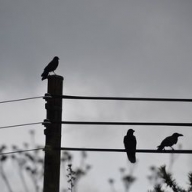 � ����������� ������� ��������� �������, ���� �� ����� ��������������