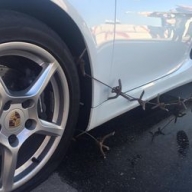 Мажор на Porsche пытался прорвать блокаду Крыма Мажор на Porsche пытался прорвать блокаду Крыма