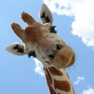 ������ ��������� ��������� ������� ��� � �������