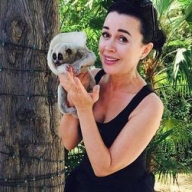 ��������� ���������� ����� ���������� ��-�� 30-����������� �����