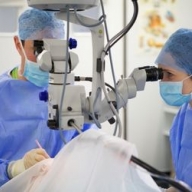 �������� 14-������� �������� �� ��������� ������� ������� �� ����� 