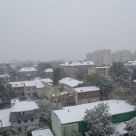 �� ������ ����� ������ ����