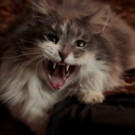 � ����������� ������� ��� ������� ������� �������