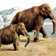 ����� ��������, �� ���� ���� ������� ������� 