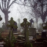 ������� ��������� ���������� ���������� ���������