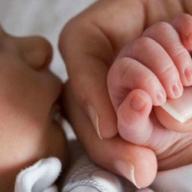 � ��������� ������� ��������, ��� �������� � ����� � ������� �������������� 