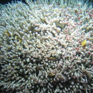 � ���������� ������� ����� ���������, �������� ����� ���������� �����