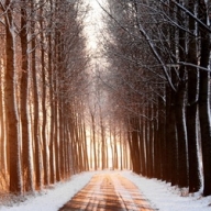 Лихач сбил на трассе девушку и вывез умирать в лес Лихач сбил на трассе девушку и вывез умирать в лес