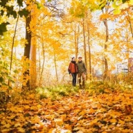 ������� ������ ��������� ������������� ����� ������� �� 800 ���� � �����