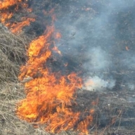 �� ������������ ���� ���������� ������� ����������� ���� �����