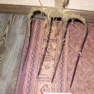 ������� ������� ������ ������ ����