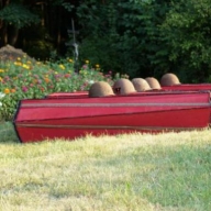 � ����������� ������ ������������� ������� 19-�� �������� ������� ����� ������ ����