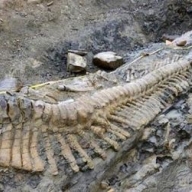 ������ ����� ��� ��������� � ���������� ��������� 