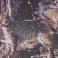 ��������� ������ � ���������� ��������