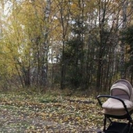 Женщина бросила у дороги годовалую девочку и ушла в лес Женщина бросила у дороги годовалую девочку и ушла в лес