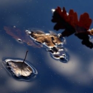 ������ �������� ������� 