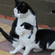 ������ �������� ������� ��������������� ����� � ���