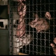 � ������� �������� ���������� ����� ����� � �����