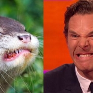 ��������� ����������� �������� � ������, � �� �� ��� ������� ����� �������