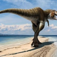 � ��������� ����� ����� ������ ���������� ����������