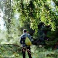 � ������������� ������  ������������ ������ ����������� � �� �������