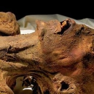  ������ ����� ����� � ������ ���������� ���������� �����