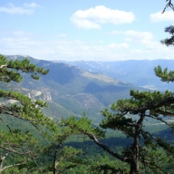 � 2013 ���� ��������� ���������� ���������� �� 3 ������ ��������