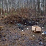 � ���� ��� �������� ������ ������ ���� �������